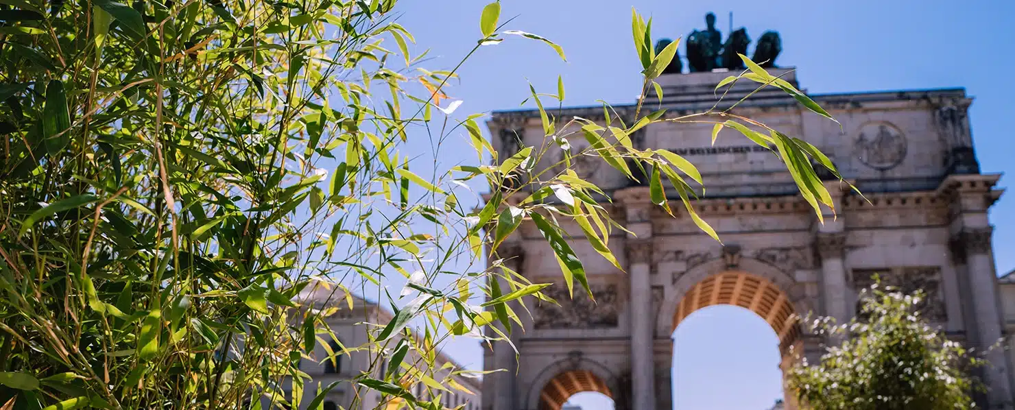 AdobeStock_550583770 Triumphbogen hinter grünen Bambusblättern im Sonnenschein